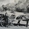 Cart used to transport goods to Gully